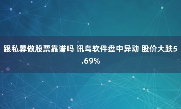 跟私募做股票靠谱吗 讯鸟软件盘中异动 股价大跌5.69%