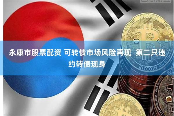 永康市股票配资 可转债市场风险再现  第二只违约转债现身