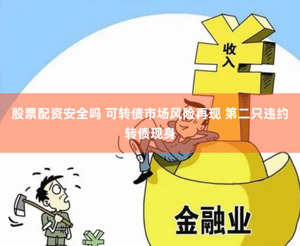 股票配资安全吗 可转债市场风险再现 第二只违约转债现身