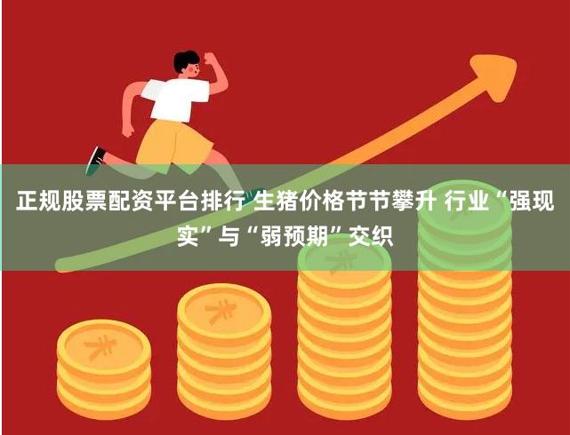 正规股票配资平台排行 生猪价格节节攀升 行业“强现实”与“弱预期”交织
