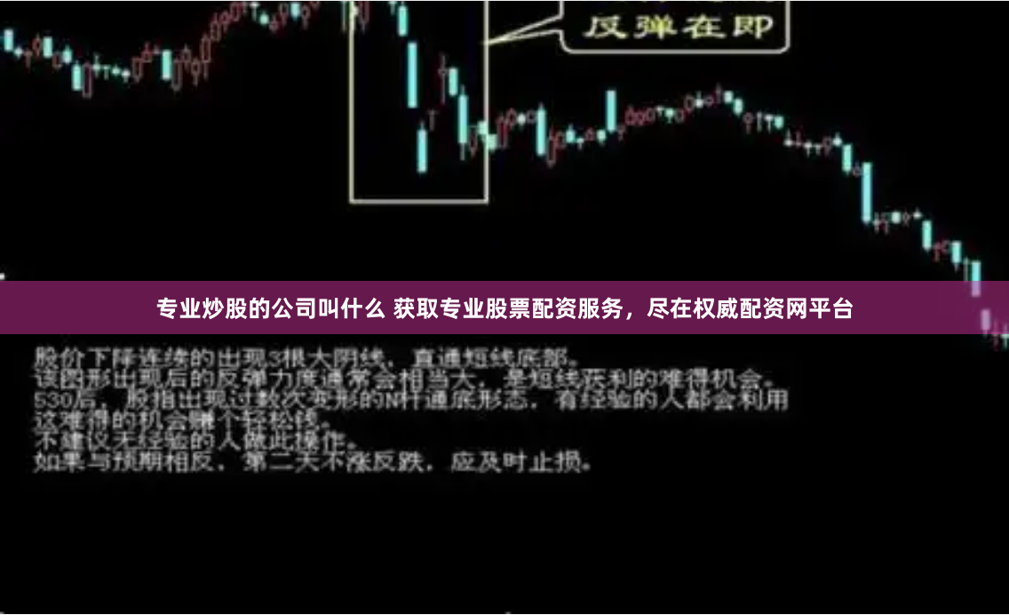 专业炒股的公司叫什么 获取专业股票配资服务，尽在权威配资网平台