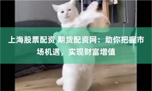 上海股票配资 期货配资网：助你把握市场机遇，实现财富增值